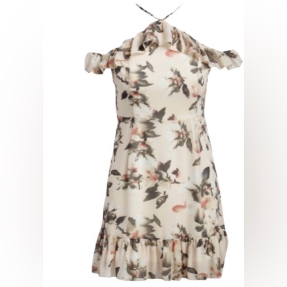 NEW•1X-3X•Soul Sunrise Rosa Romantic Flutter Sleeve Dress - Picture 7 of 16